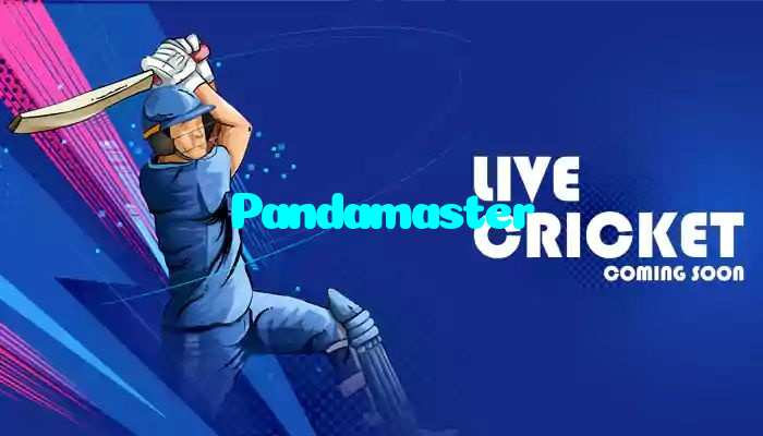 Pandamaster casino presented on mobile device in Pakistan with slots and live games